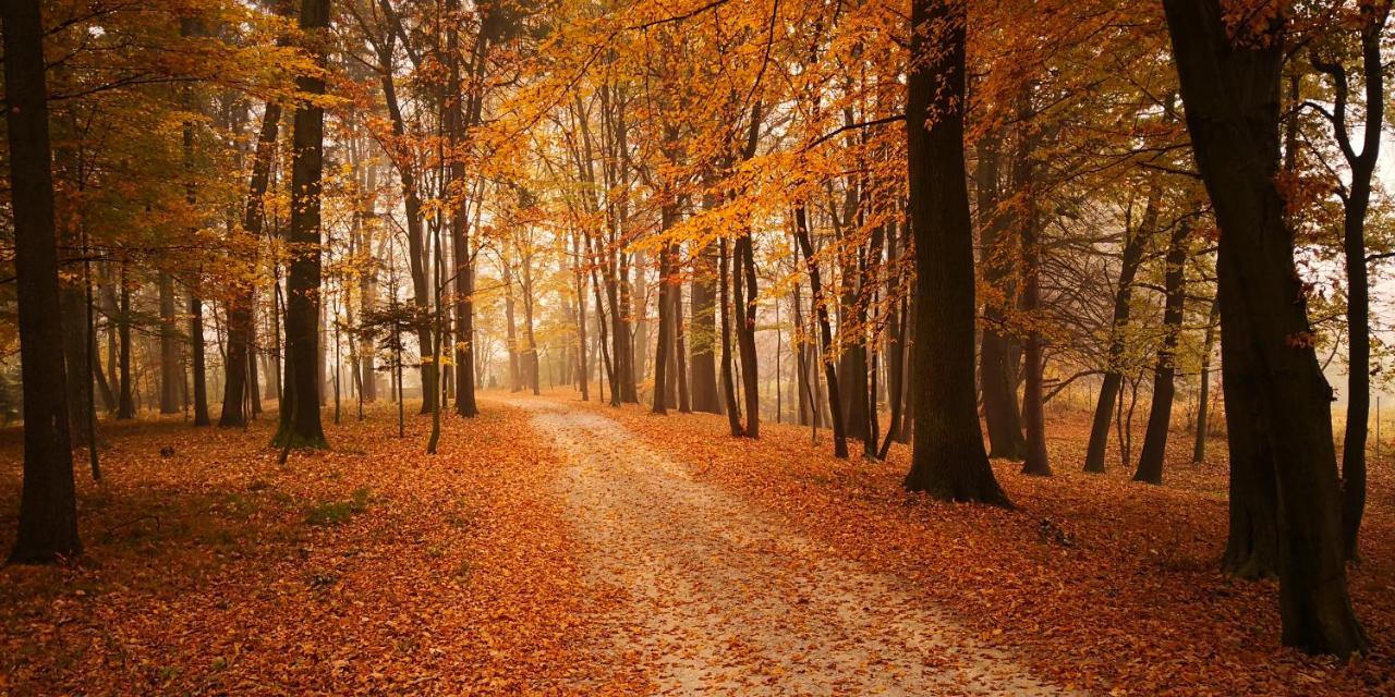 Dwor Готель Sierakow (Lesser Poland)