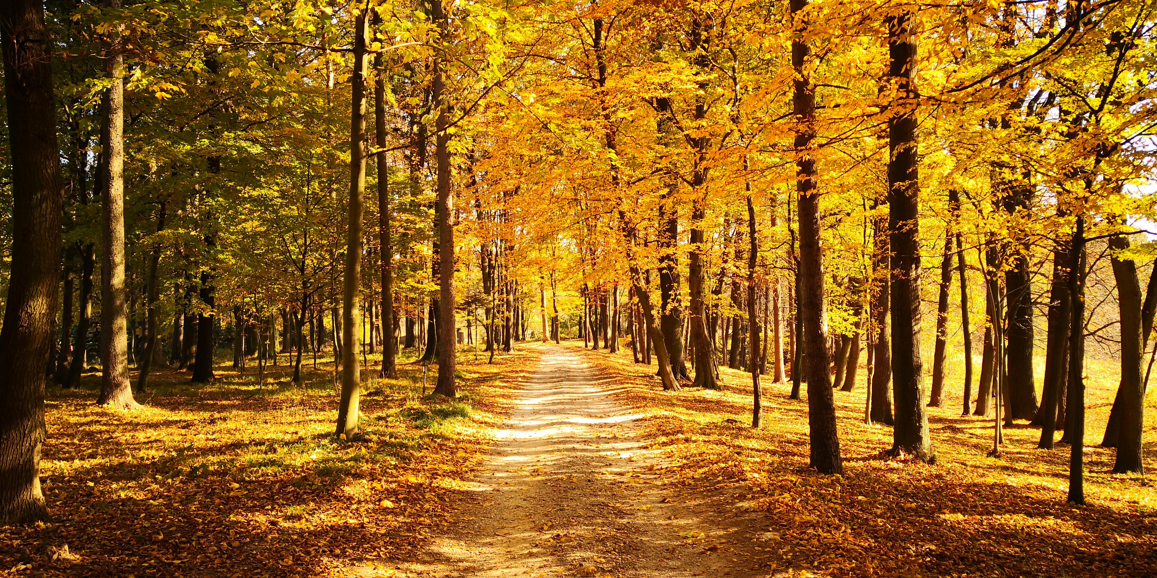 Dwor Sierakow (Lesser Poland)